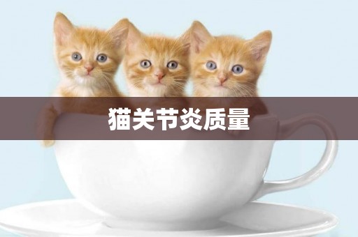 貓關節炎質量
