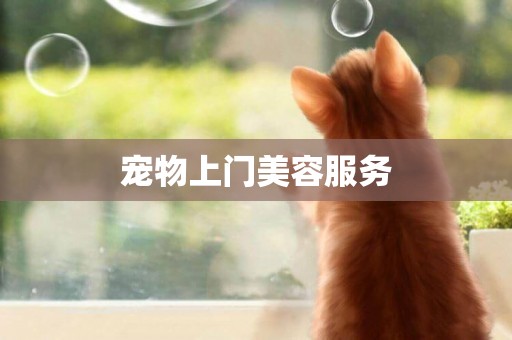 寵物上門美容服務