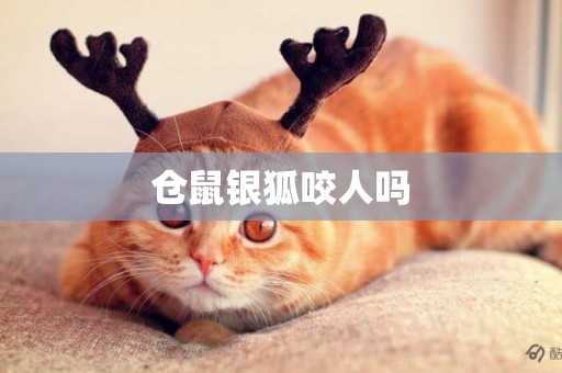 倉鼠銀狐咬人嗎