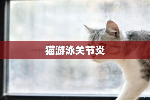 貓游泳關節炎