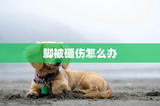 腳被砸傷怎么辦