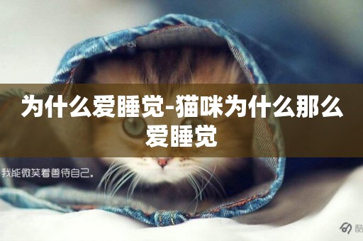 為什么愛睡覺-貓咪為什么那么愛睡覺