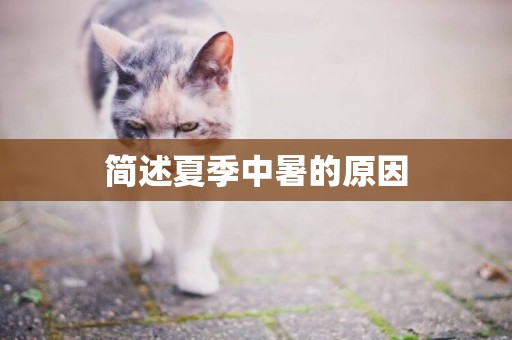 簡述夏季中暑的原因