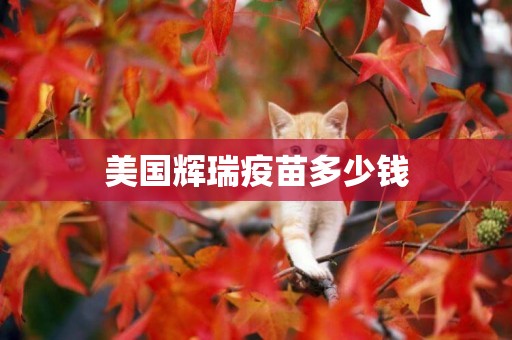 美國輝瑞疫苗多少錢