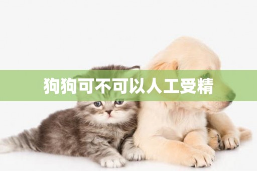 狗狗可不可以人工受精