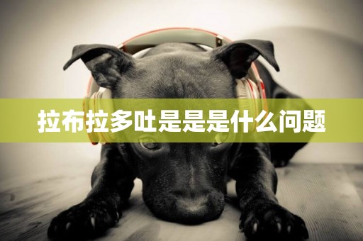 拉布拉多吐是是是什么問題
