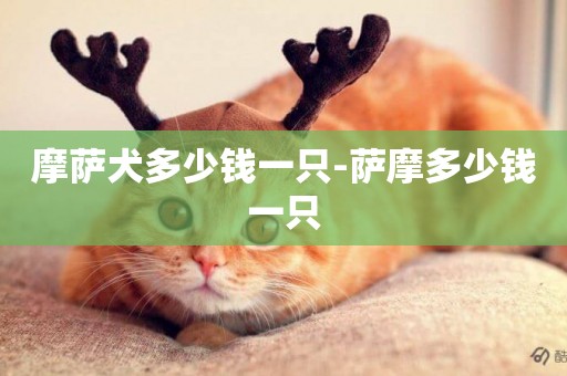 摩薩犬多少錢一只-薩摩多少錢一只