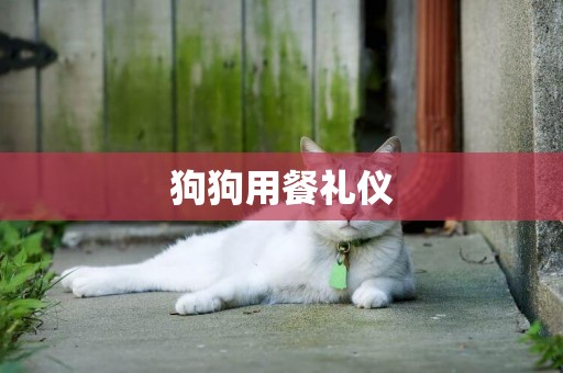 狗狗用餐禮儀