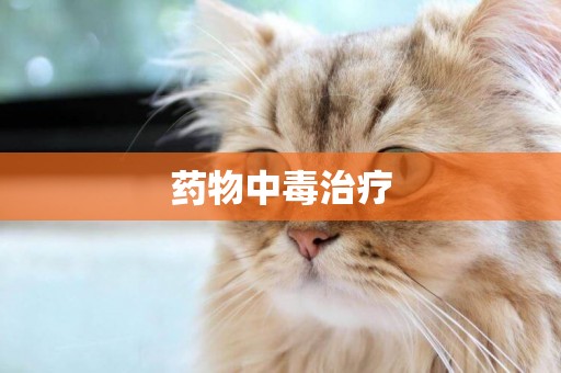 藥物中毒治療