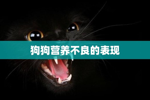 狗狗營養不良的表現