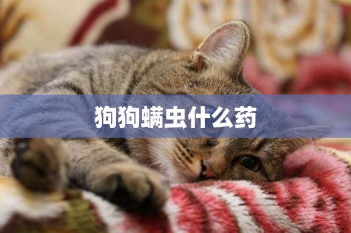 狗狗螨蟲什么藥
