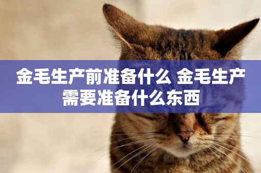 金毛生產前準備什么 金毛生產需要準備什么東西