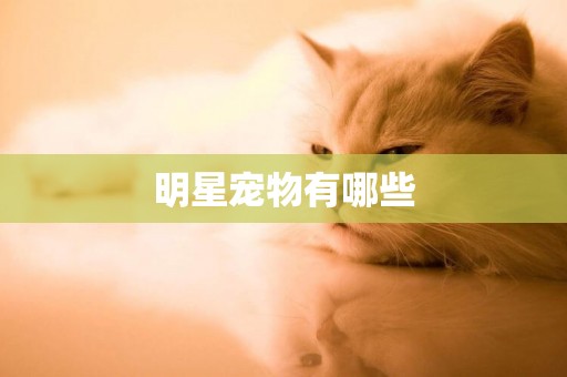 明星寵物有哪些