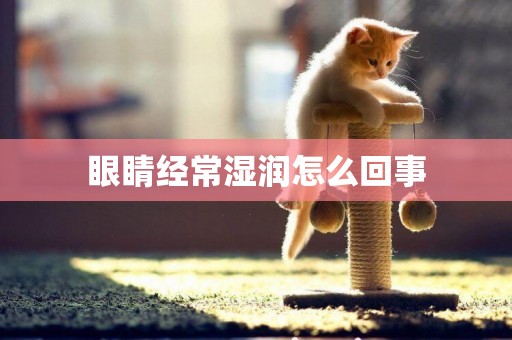 眼睛經常濕潤怎么回事