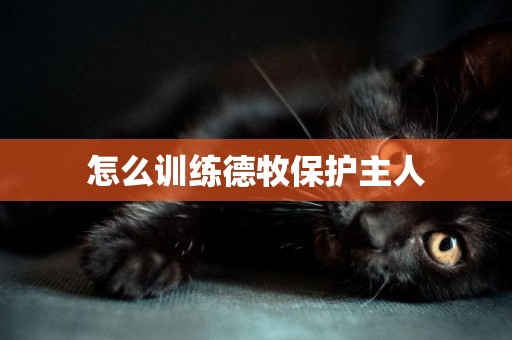 怎么訓練德牧保護主人