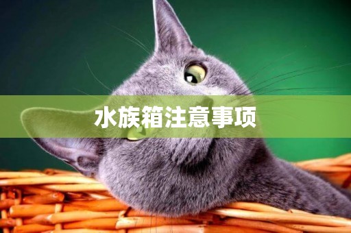 水族箱注意事項