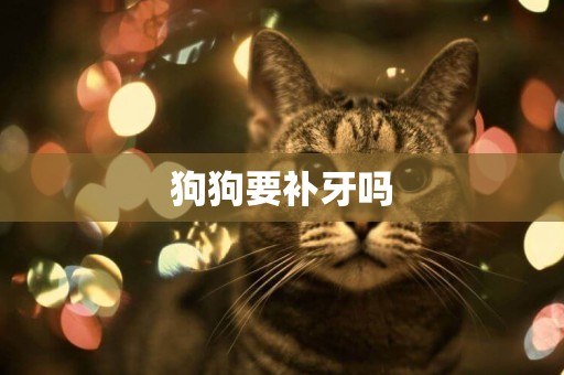 狗狗要補牙嗎