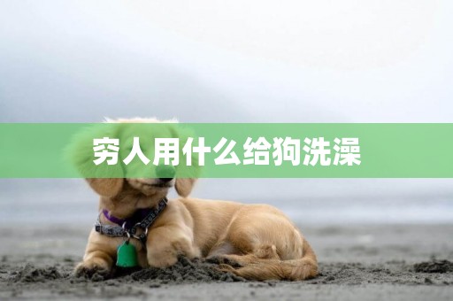 窮人用什么給狗洗澡