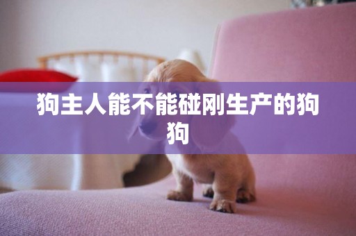 狗主人能不能碰剛生產的狗狗
