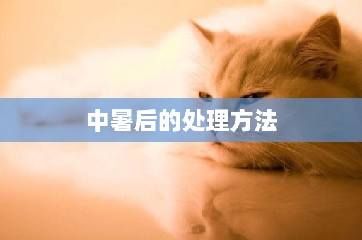 中暑后的處理方法
