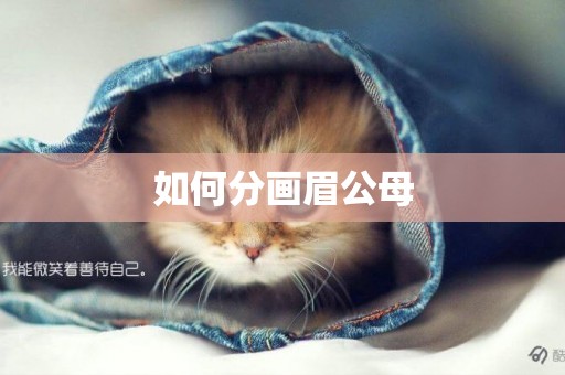 如何分畫眉公母