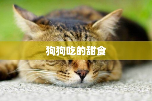 狗狗吃的甜食