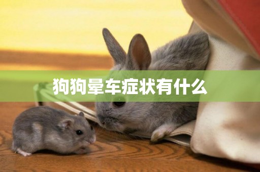 狗狗暈車癥狀有什么