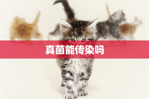 真菌能傳染嗎