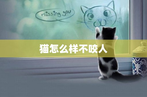 貓怎么樣不咬人