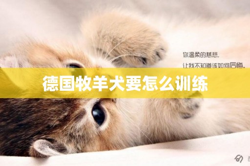 德國牧羊犬要怎么訓練