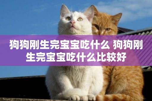 狗狗剛生完寶寶吃什么 狗狗剛生完寶寶吃什么比較好