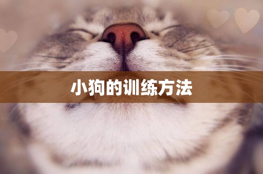 小狗的訓練方法