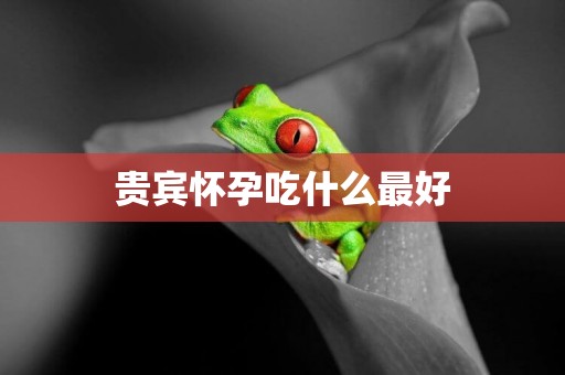貴賓懷孕吃什么最好