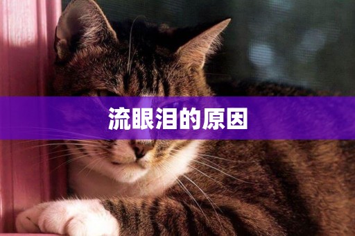 流眼淚的原因