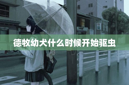 德牧幼犬什么時候開始驅蟲