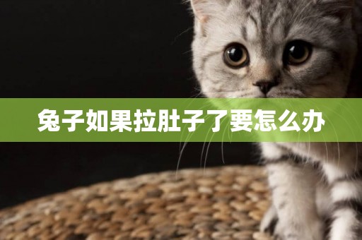 兔子如果拉肚子了要怎么辦