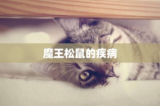 魔王松鼠的疾病