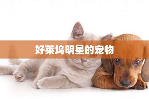 好萊塢明星的寵物