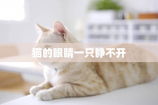 貓的眼睛一只睜不開