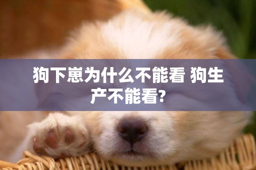 狗下崽為什么不能看 狗生產不能看?