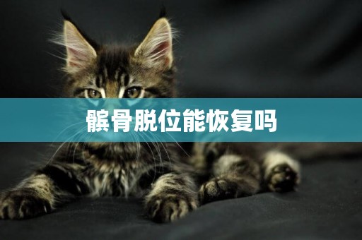 髕骨脫位能恢復嗎