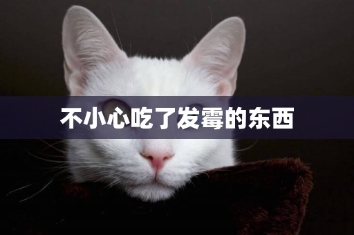 不小心吃了發霉的東西