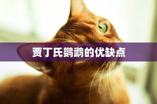 賈丁氏鸚鵡的優缺點
