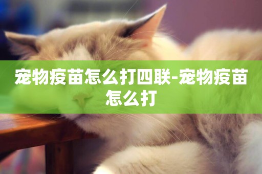 寵物疫苗怎么打四聯-寵物疫苗怎么打