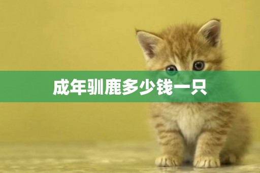 成年馴鹿多少錢一只