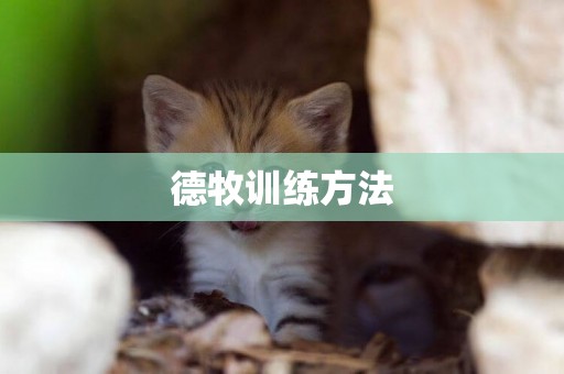 德牧訓練方法