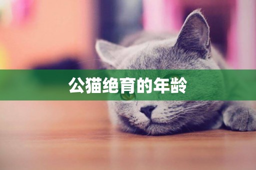 公貓絕育的年齡