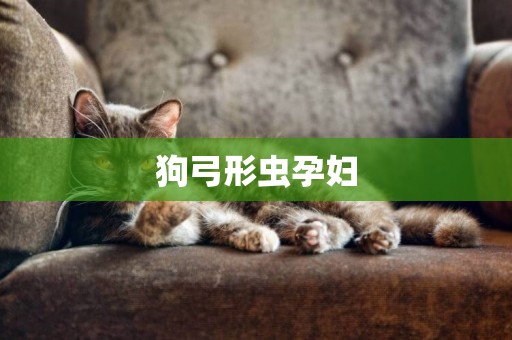 狗弓形蟲孕婦