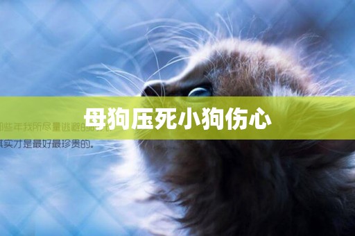 母狗壓死小狗傷心