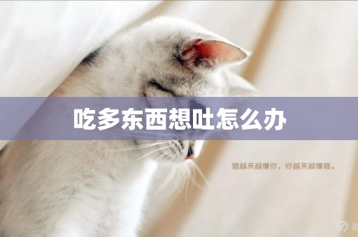 吃多東西想吐怎么辦